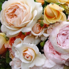 Florist Glen Waverley